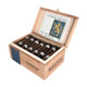 Liga Privada Unico Serie Nasty Fritas Pyramid - Box