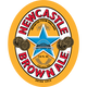 Newcastle Brown - 12 Oz - 12-PK - Glass