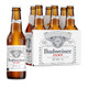 Budweiser Zero - 6-PK - Glass