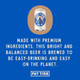 New Belgium Fat Tire - 12 Oz - 12-PK - Aluminum