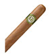 Cusano M1 Connecticut Robusto - 1 Stick - Each