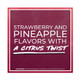 Svedka Modern Style Strawberry Pineapple Gin - 750 mL - 750ML - Glass
