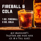 Fireball Cinnamon Whisky - 750 mL - 750ML - Glass