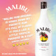Malibu Caribbean Rum with Coconut Flavored Liqueur - 1.75 L - 1.75L - Glass