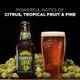 Sierra Nevada Torpedo Extra IPA - 12 Oz - 12-PK - Glass