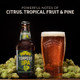 Sierra Nevada Torpedo Extra IPA - 12 Oz - 12-PK - Glass