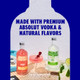 Absolut Raspberry Lemonade Vodka Cocktail - 750 mL - 750ML - Glass