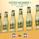 Fever-Tree Premium Ginger Beer - 16.9 Oz - 16.9Z