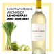 Clos Du Bois Sauvignon Blanc - 750 mL - 750ML - Glass