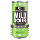 Destihl Wild Sour Series Here Gose Nothin' Gose Ale - 12 Oz - 6-PK - Aluminum