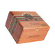 Ashton VSG Wizard - Box - Box