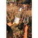J. Lohr Paperwhite Unoaked Chardonnay - 750 mL - 750ML - Glass