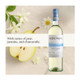 Mezzacorona Pinot Grigio - 750 mL - 750ML - Glass