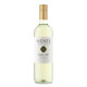 Wente Pacific Mist Pinot Grigio - 750 mL - 750ML - Glass