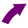 LiteMark Durable Wide Stem Marking Arrows - Purple