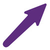 LiteMark Removable Comet Arrows - purple