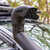 Ford Racing Ranger Off-Road Air Snorkel - M-9603-RA Photo - Mounted