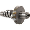 Andrews #212263 - A2 Grind Cam