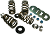 Valve Springs - High-Load