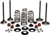 Complete Valve Kit - Evolution/1200