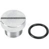 Colony #9876-2 - Oil Screen Plug - Chrome - Big Twin