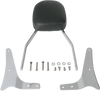 Cobra #02-5461 - Sissy Bar - Standard - VN1600A