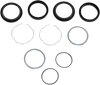 Fork Seal Kit - 49 mm
