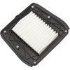 Drag Specialties - OEM Replacement Air Filter - Indian