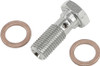 Goodridge #P775-03LCH - Banjo Bolt Chrome 3/8-24 Long