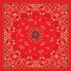 Zan #B003 - Bandanna Red Paisley