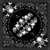Zan #B140 - Bandanna Skull Row