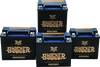 Twin Power YTX-14L Shocker Gel Battery Replaces H-D5958-04 220 CCA