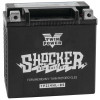 Twin Power YTX-14L Shocker Battery Replaces H-D5958-04 220 CCA