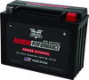 Twin Power YTX-24HL High Performance Battery Replaces H-D6010-82A Made in USA 350 CCA