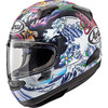 Arai Helmets #0101-17708 - Quantum-X Helmet - Oriental - Black Frost - Large