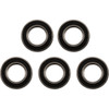 Factory Links #WBE-E-025 - Wheel Bearings - Double Seal - 6006 2RS - 30x55x13 - 5 Pack