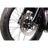 EBC #FSD009BLK - Brake Rotor - Black Carrier