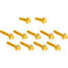 Arlen Ness #300-982 - Bolt Kit - Cam Cover/Point Cover - Titanium - 12-Point - Gold