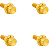 Arlen Ness #300-811 - Bolt Kit - Windshield - 12-Point - Titanium - Gold