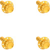 Arlen Ness #300-841 - Bolt Kit - Windshield - Titanium - 12-Point - Gold