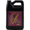 Klotz OIL #KL-216 - Snowmobile TechniPlate® Synthetic 2-Stroke Oil - 1 U.S. gal.