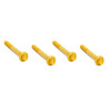 Arlen Ness #300-874 - Titanium 12-Point Engine Case Bolt Kits, Gold