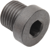 Steel Plug - 12mm x 1.25mm