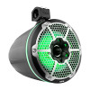 DS18 NXL-X10TPNEO/BK DS18 Marine And Psports Towers w/ Built In 10in 1in Driver 300 Watts RMS RGB LED Lights Black