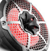 DS18 CF-10M DS18 NXL-M Series Speaker w/ RGB LED Lights 10in 2-Way 200 Watts RMS 4 ohm Black Carbon Fiber