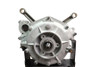 Motorshop - 1936 Replica Short Block Assembly
