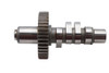 Ultima #114-81 - Ultima EV81 Grind Cam Shaft