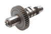 Ultima #114-81 - Ultima EV81 Grind Cam Shaft