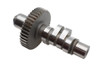 Ultima #114-81 - Ultima EV81 Grind Cam Shaft