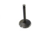 Sifton - Nitrate Steel Intake Valve
